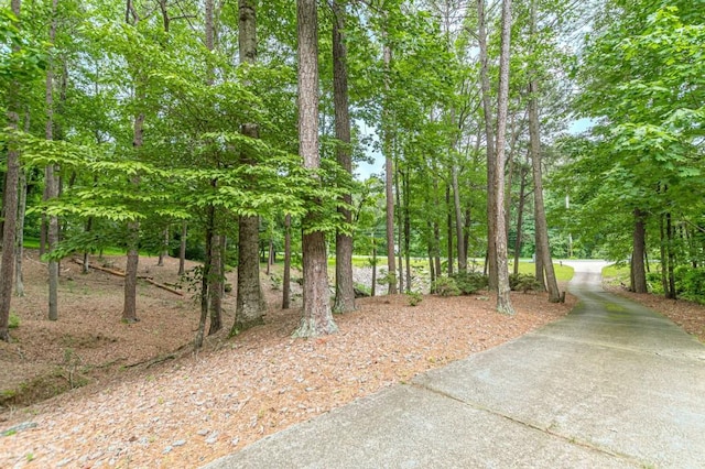 3329 Walt Stephens Rd, Stockbridge, GA 30281 - view of yard