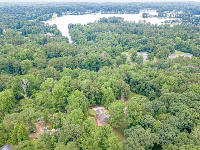 3329 Walt Stephens Rd, Stockbridge, GA 30281 - aerial overview of property's location featuring a heavily wooded area and a large body of water