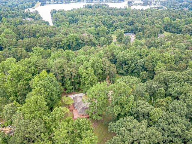 3329 Walt Stephens Rd, Stockbridge, GA 30281 - view of property location with a forest and a nearby body of water