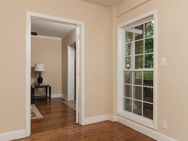 entryway with dark hardwood / wood-style floors