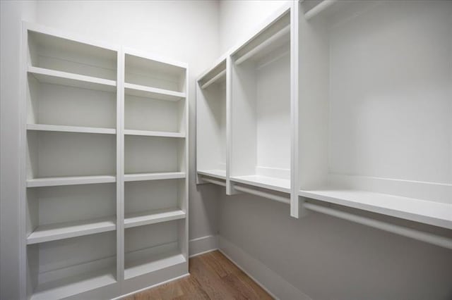 walk in closet with dark wood finished floors