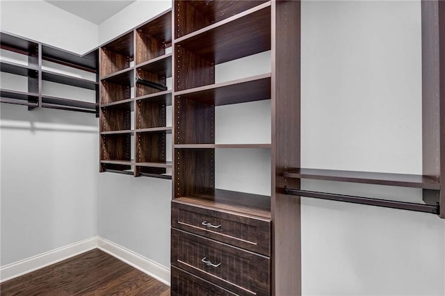 2544 Thompson Rd NE, Brookhaven, GA 30319 - spacious closet with dark wood finished floors