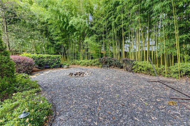 2544 Thompson Rd NE, Brookhaven, GA 30319 - view of yard