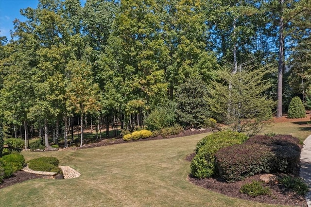 6218 Zell Miller Path, Acworth, GA 30101