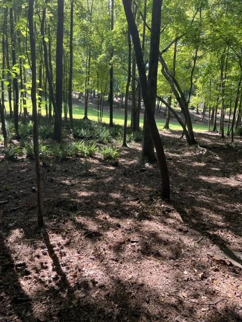 6218 Zell Miller Path, Acworth, GA 30101