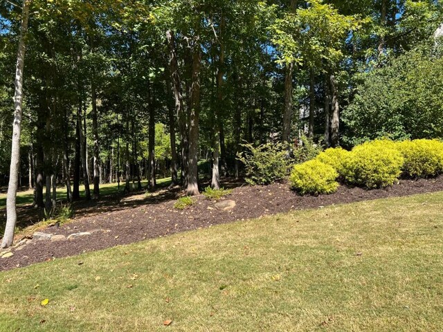 6218 Zell Miller Path, Acworth, GA 30101