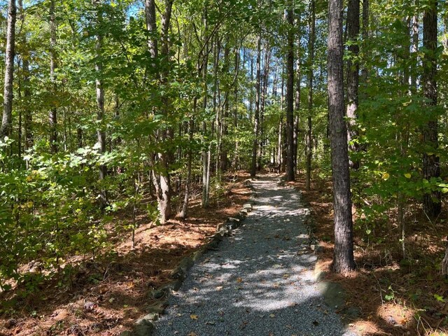 6218 Zell Miller Path, Acworth, GA 30101