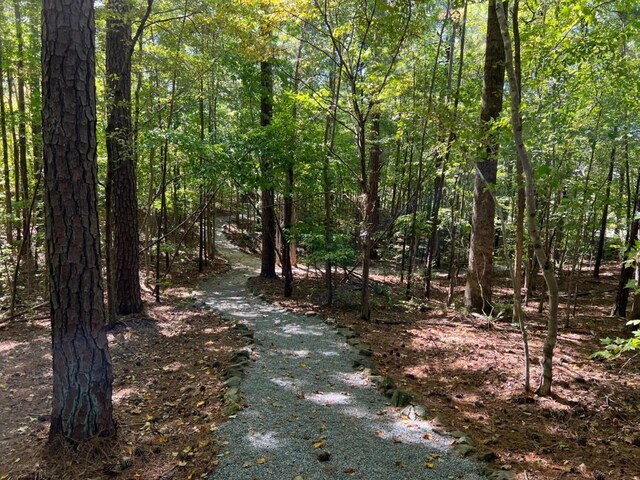 6218 Zell Miller Path, Acworth, GA 30101
