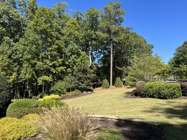 6218 Zell Miller Path, Acworth, GA 30101