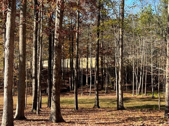6218 Zell Miller Path, Acworth, GA 30101