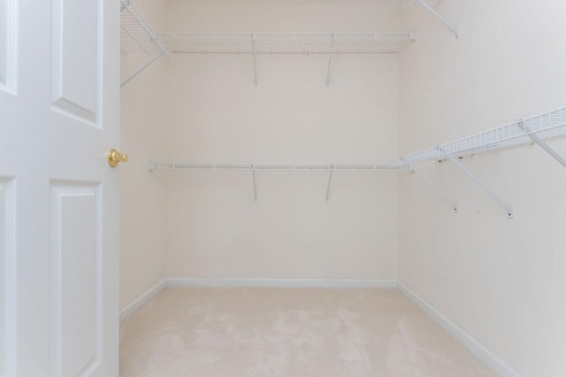 walk in closet with light colored carpet