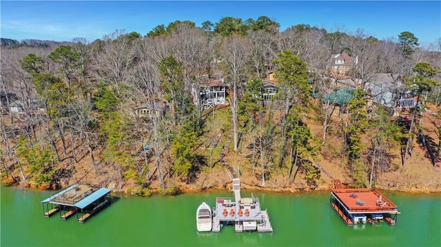 drone / aerial view featuring a wooded view and a water view