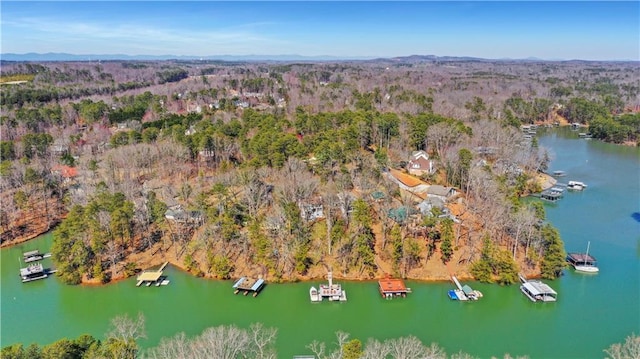 bird's eye view featuring a water view and a wooded view