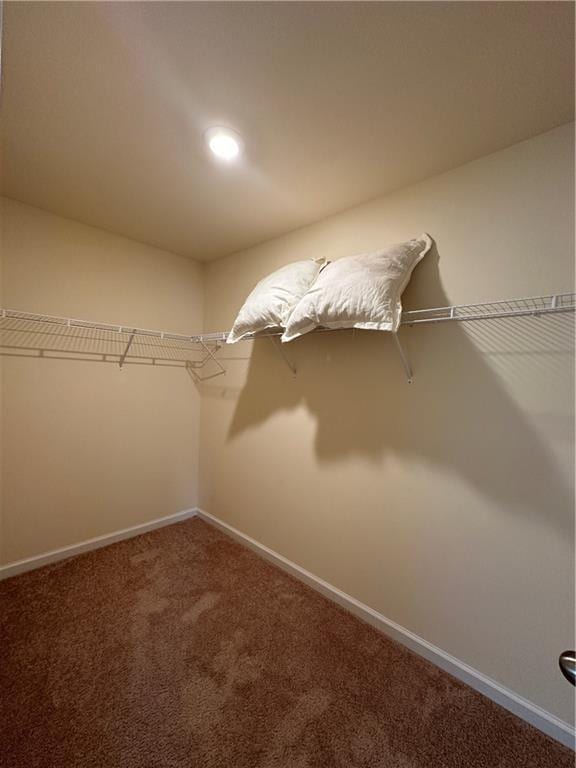 walk in closet with carpet