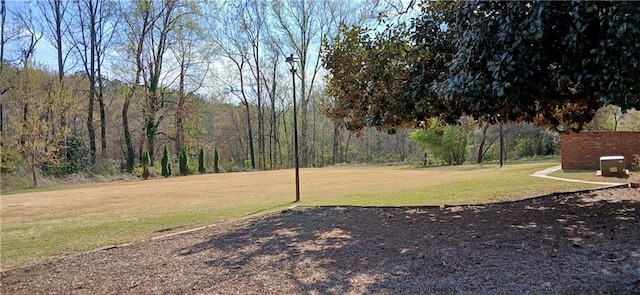 view of grassy yard