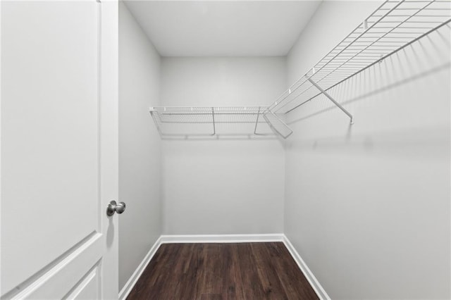 spacious closet featuring wood finished floors