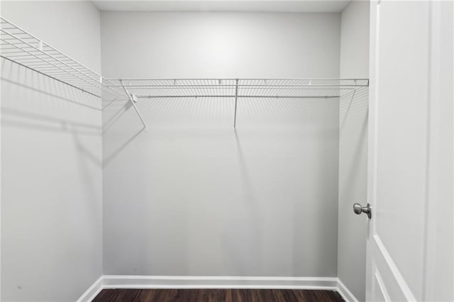 walk in closet featuring dark wood-style floors
