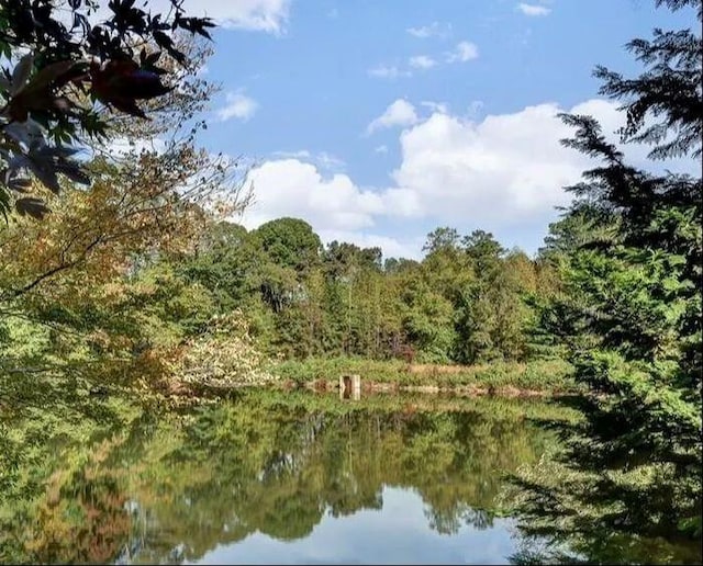 property view of water with a wooded view