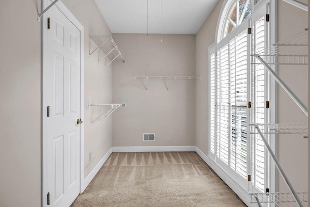 3171 Blairhill Ct, Atlanta, GA 30340 - spacious closet with visible vents and light carpet