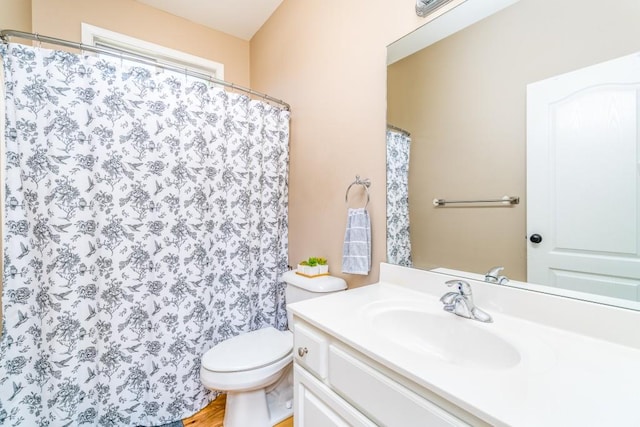 bathroom with toilet and vanity