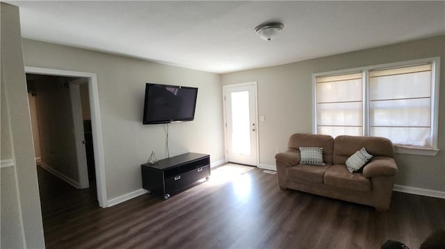 living room featuring dark wood-type flooring