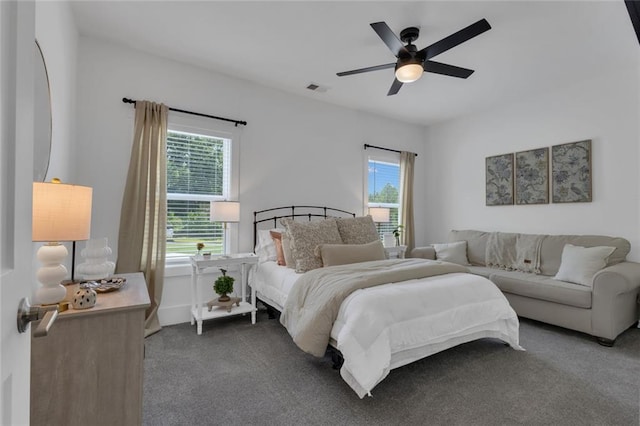 147 Wolf Creek Cv, Lagrange, GA 30240 - bedroom with multiple windows, carpet flooring, and ceiling fan