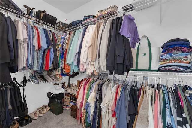 147 Wolf Creek Cv, Lagrange, GA 30240 - walk in closet with carpet floors