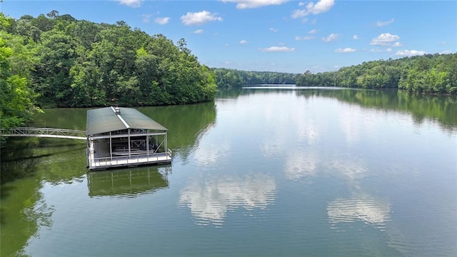 147 Wolf Creek Cv, Lagrange, GA 30240 - dock with a view of trees and a water view