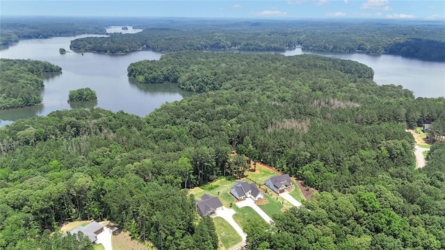 147 Wolf Creek Cv, Lagrange, GA 30240 - drone / aerial view of a forest and a nearby body of water