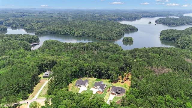 147 Wolf Creek Cv, Lagrange, GA 30240 - aerial view of property and surrounding area with a nearby body of water