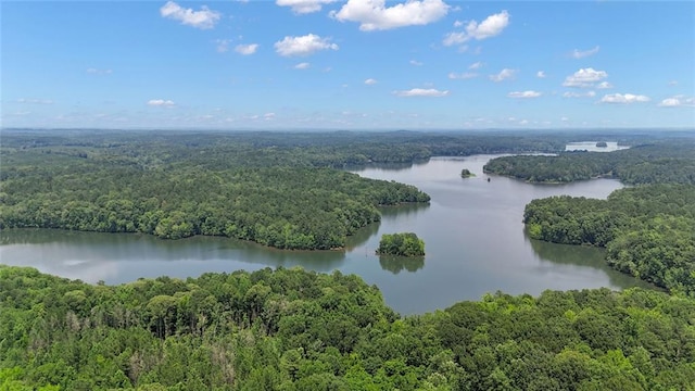 147 Wolf Creek Cv, Lagrange, GA 30240 - bird's eye view of a heavily wooded area and a large body of water