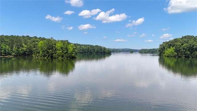 147 Wolf Creek Cv, Lagrange, GA 30240 - water view featuring a forest