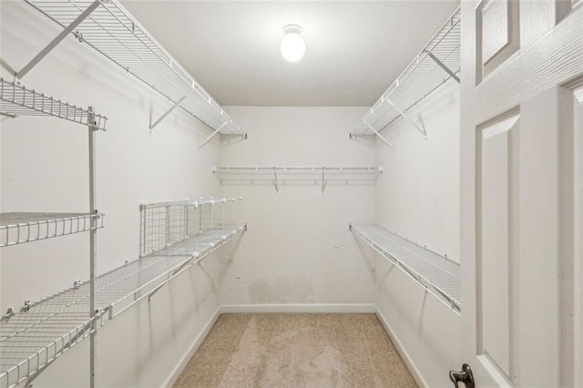 spacious closet with light colored carpet