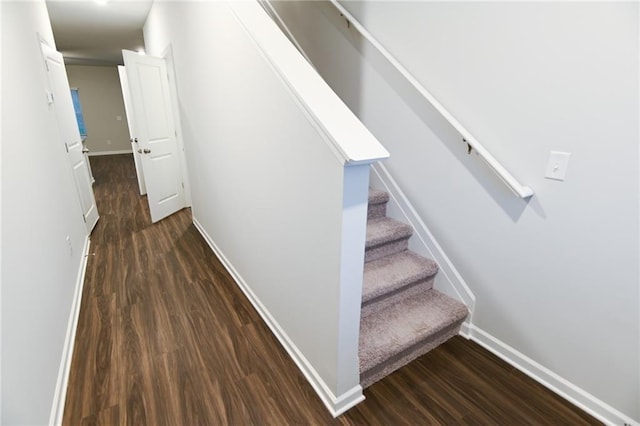 stairway with hardwood / wood-style flooring