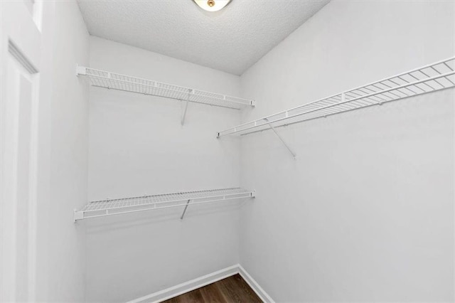 spacious closet featuring dark wood-type flooring