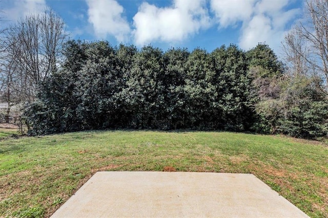 view of yard with a patio area