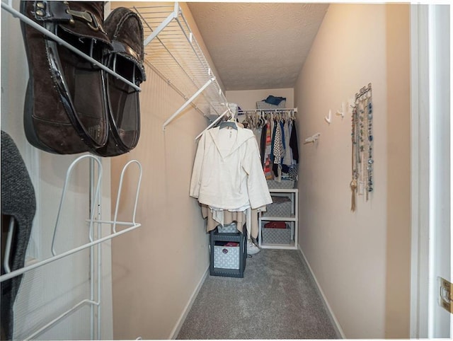 walk in closet featuring carpet