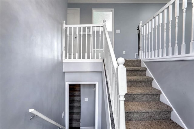 stairs with carpet floors