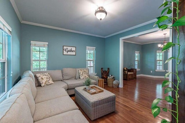 living room featuring ornamental molding, wood-type flooring, and a chandelier