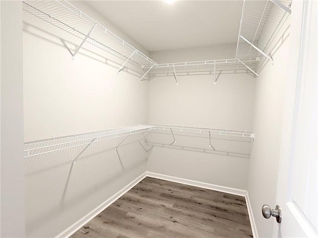 spacious closet featuring hardwood / wood-style flooring