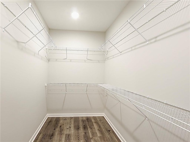 spacious closet featuring hardwood / wood-style flooring