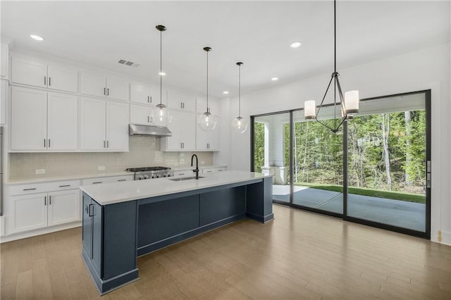 kitchen with backsplash, under cabinet range hood, a sink, and white cabinetry