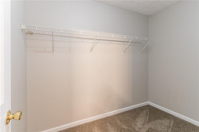 6181 E Fayetteville Dr, Riverdale, GA 30296 - spacious closet featuring carpet flooring