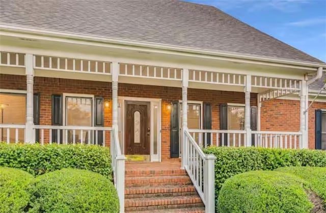 doorway to property with a shingled roof, a porch, and brick siding