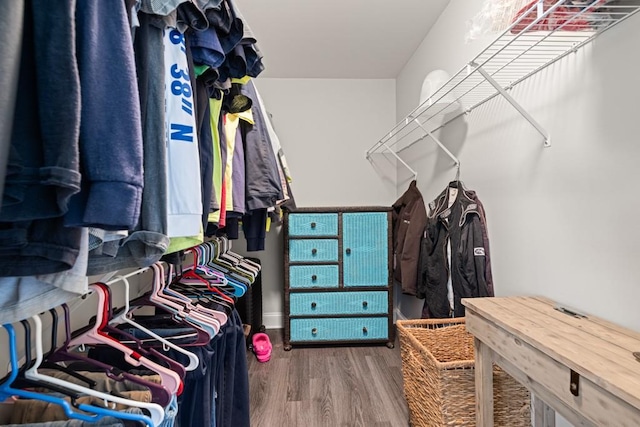 walk in closet featuring hardwood / wood-style flooring