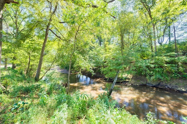 view of landscape