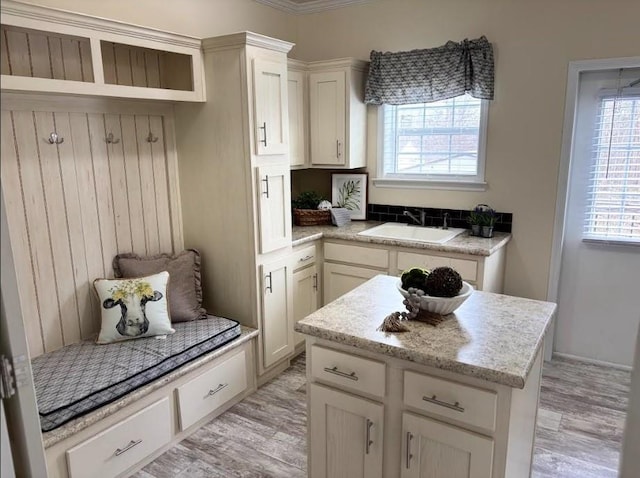 mudroom with a sink and light wood-style flooring