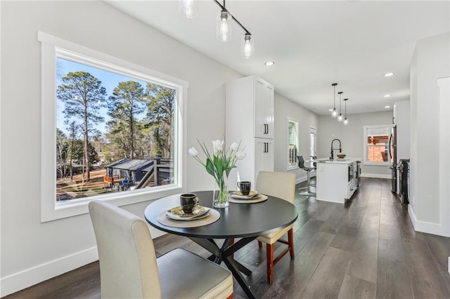 dining room featuring dark hardwood / wood-style flooring