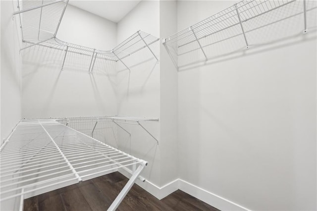 walk in closet featuring hardwood / wood-style floors