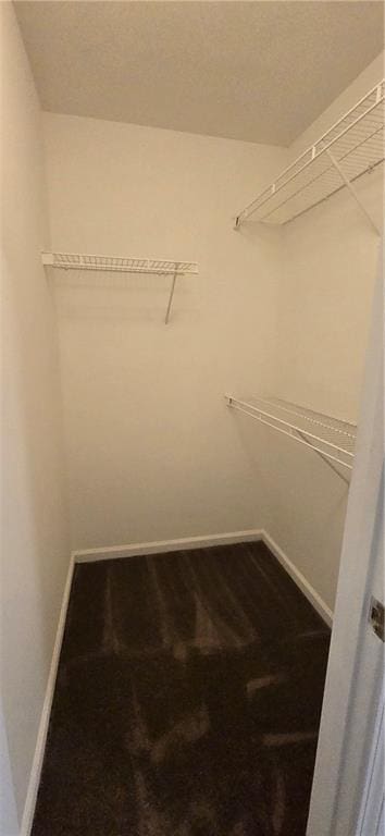 walk in closet featuring carpet floors